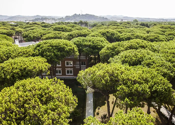 Prestige 酒店 格勒姆