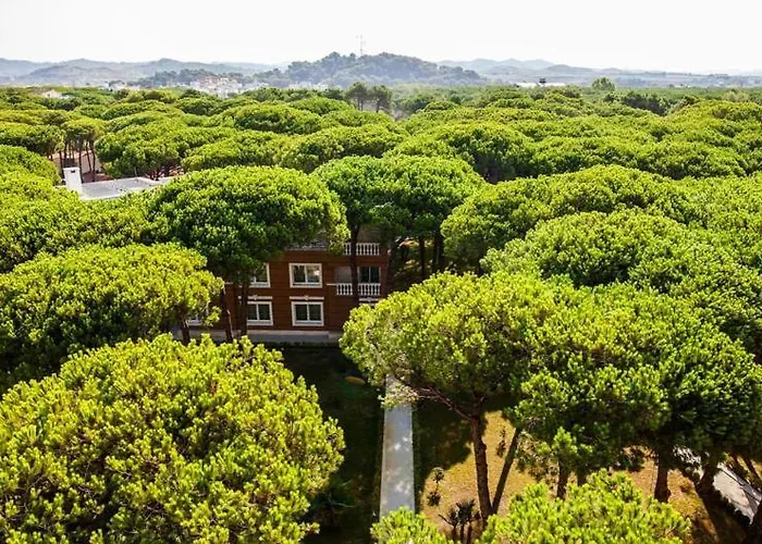 酒店 Prestige 格勒姆